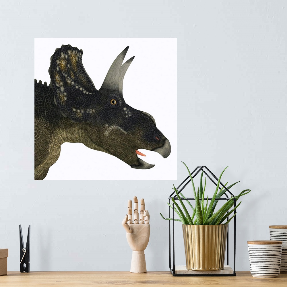A bohemian room featuring Nedoceratops portrait. Nedoceratops is a herbivorous ceratopsian dinosaur that lived in the Creta...