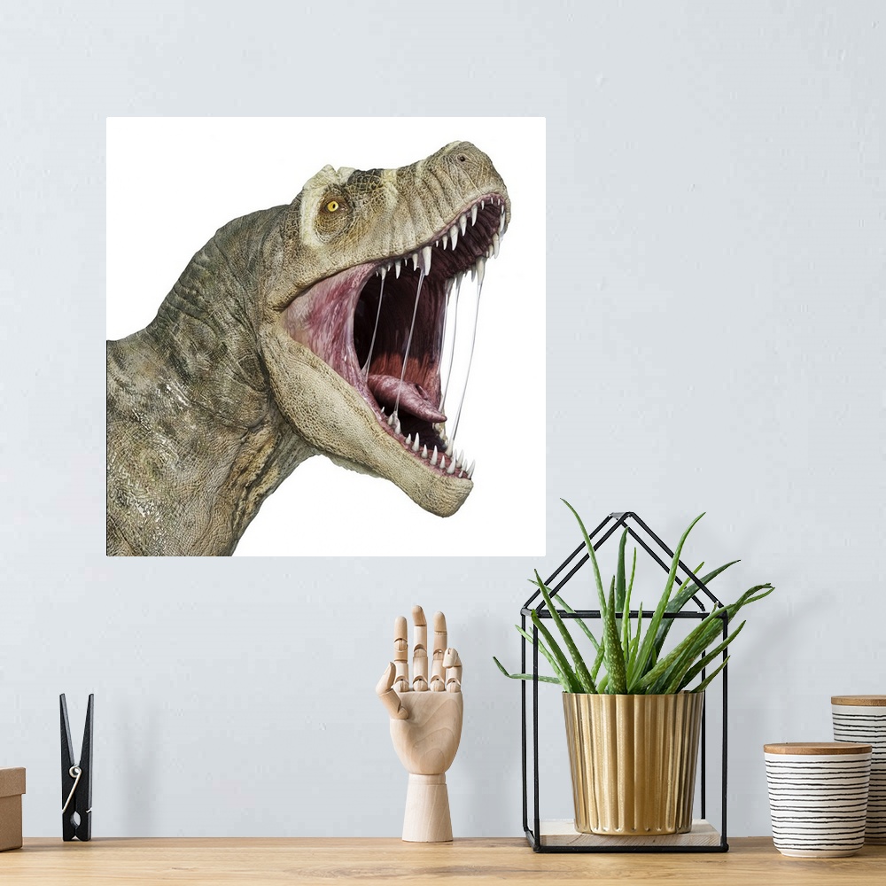 A bohemian room featuring T-rex head with open mouth, isolated on white background.