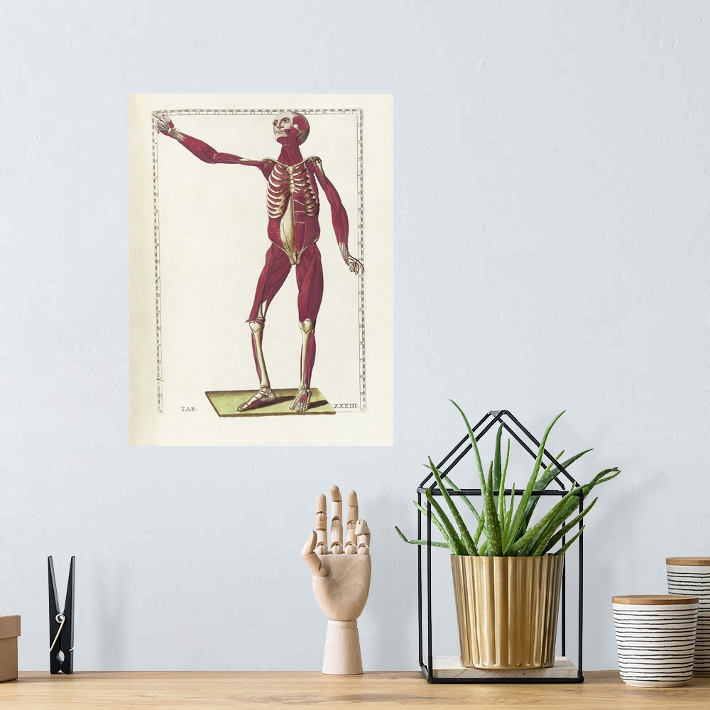 A bohemian room featuring The science of human anatomy by Bartholomeo Eustachi.