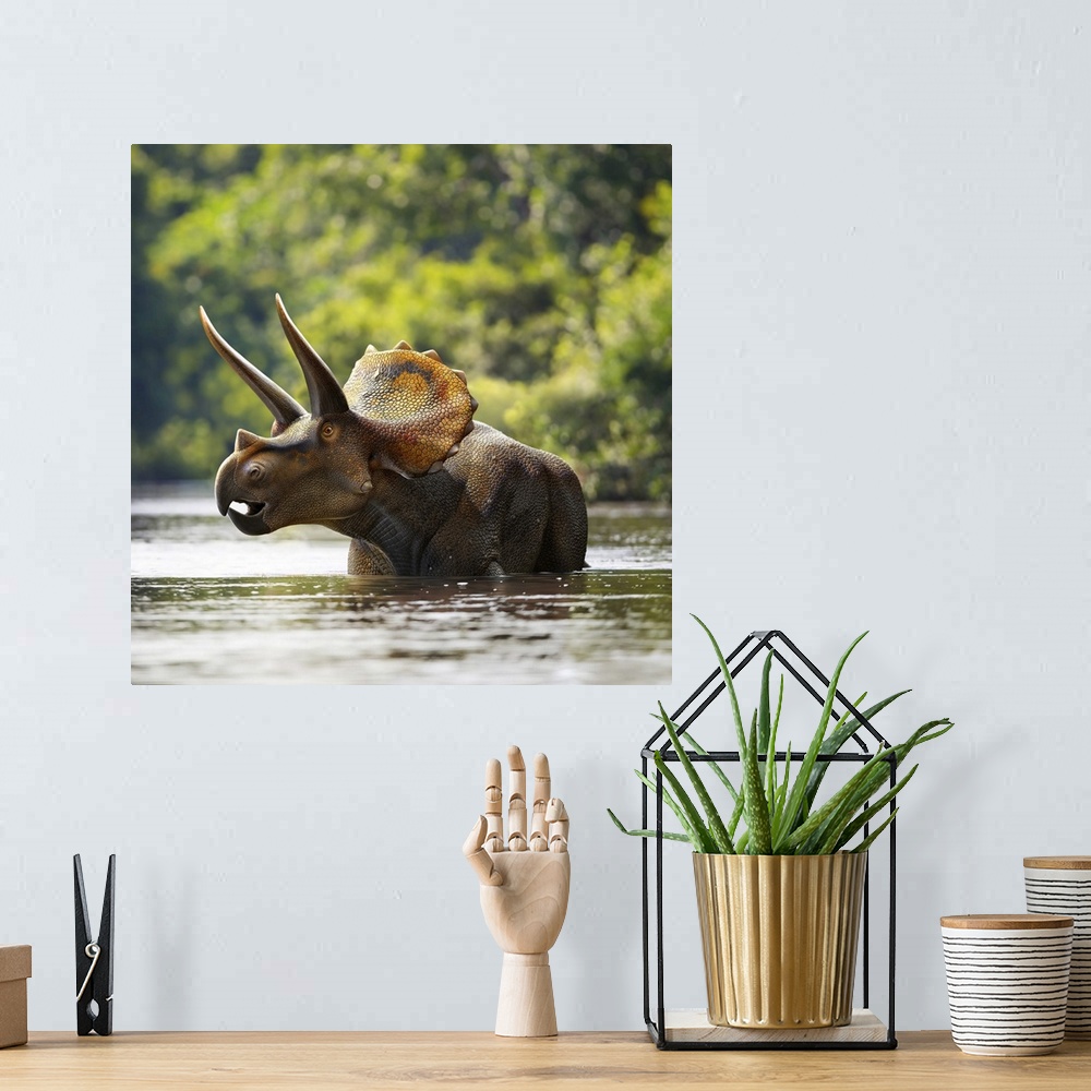 A bohemian room featuring Triceratops dinosaur in lake.