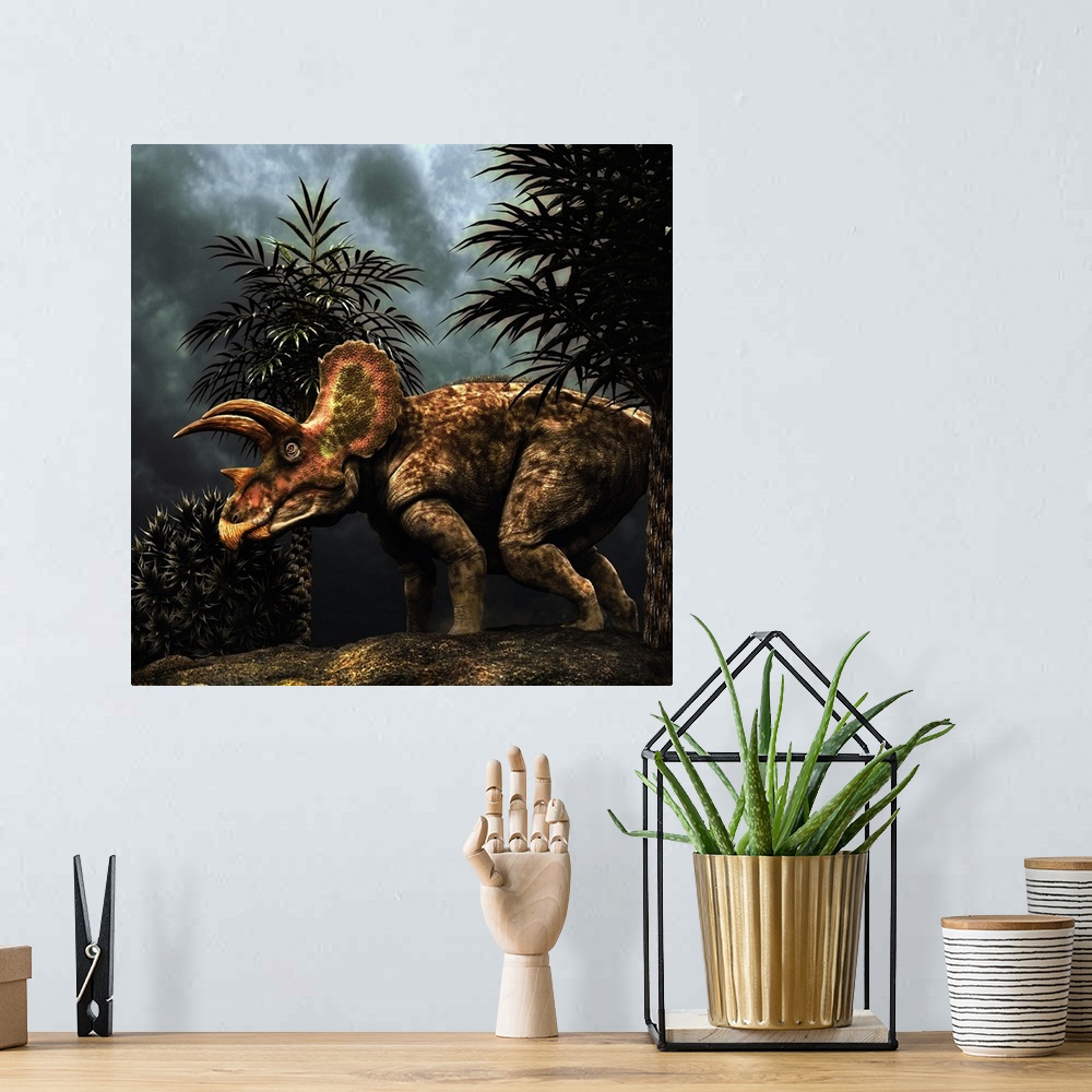 A bohemian room featuring Triceratops was a herbivorous dinosaur from the Cretaceous period.