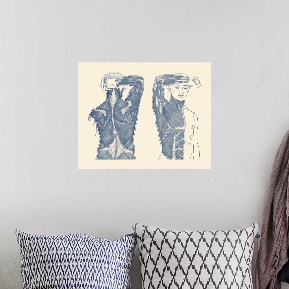 A bohemian room featuring Vintage anatomy print showing a front and back view of the muscular system.