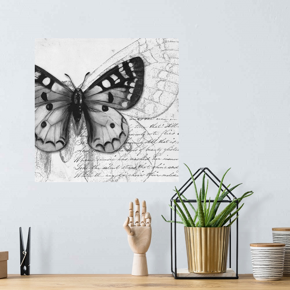 A bohemian room featuring Butterfly Studies I