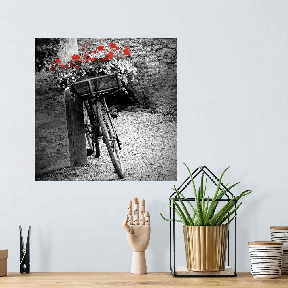 A bohemian room featuring Flower Bike Square