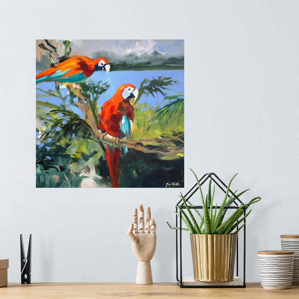 A bohemian room featuring Parrots at Bay II