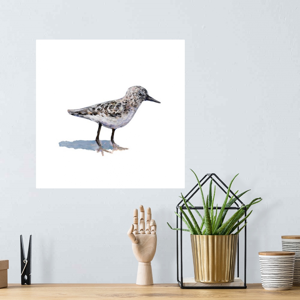 A bohemian room featuring Square painting of a sandpiper on a solid white background.