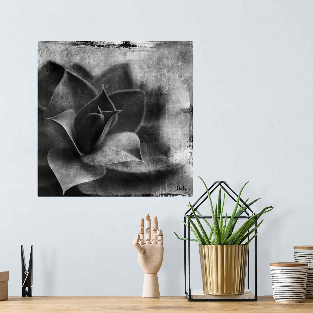 A bohemian room featuring Black and white artwork of a succulent plant with textured accents.
