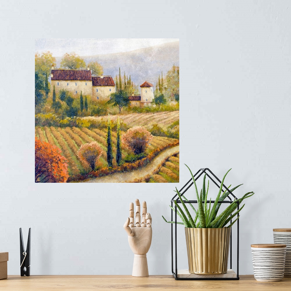 A bohemian room featuring Tuscany Vineyard I