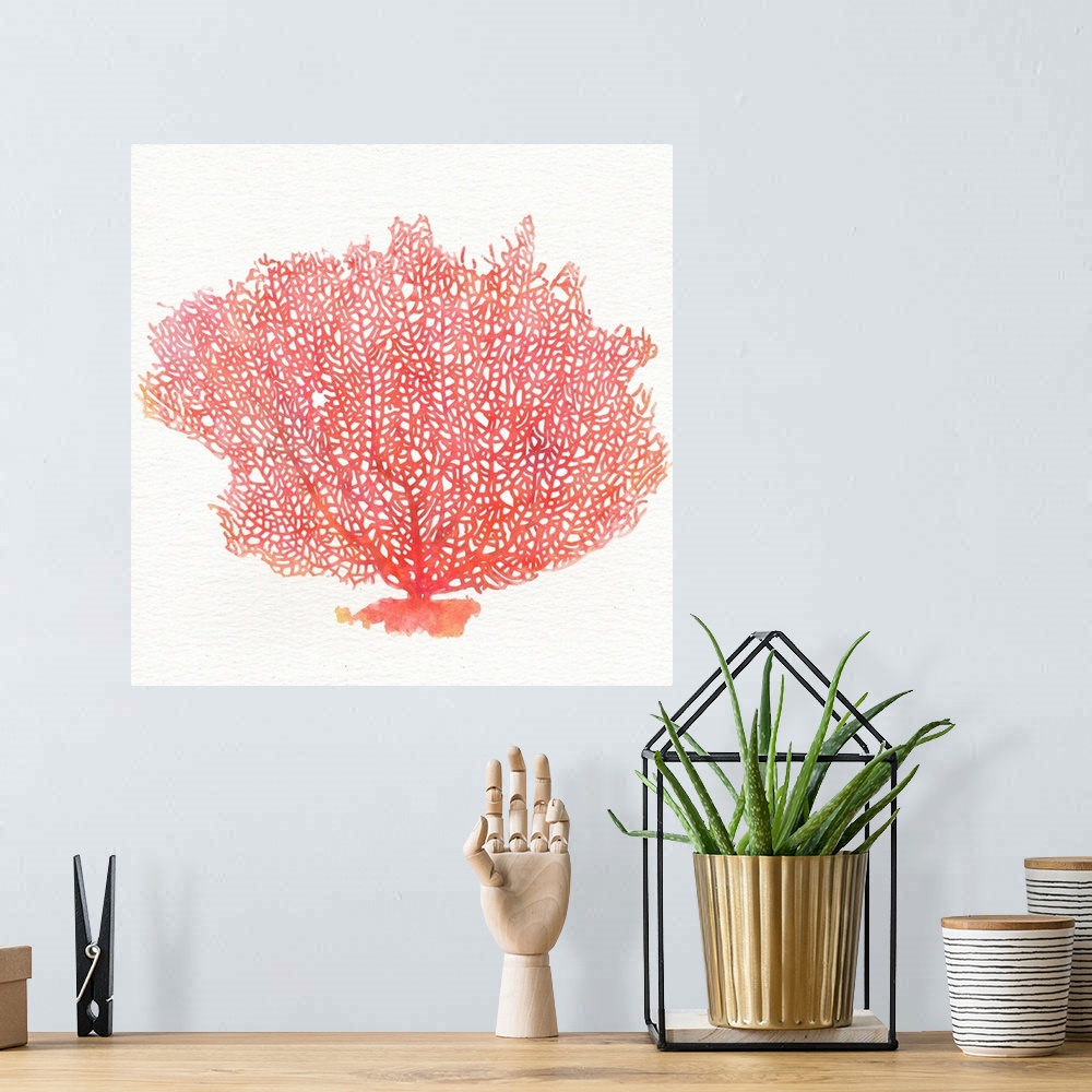 A bohemian room featuring Contemporary watercolor painting of red fan coral against a white background.