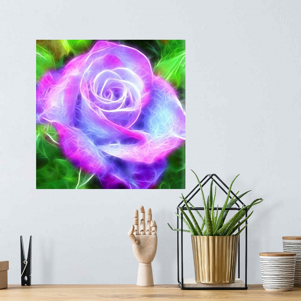 A bohemian room featuring Digital illustration of a pink, purple, and blue rose with a green background and electric lookin...