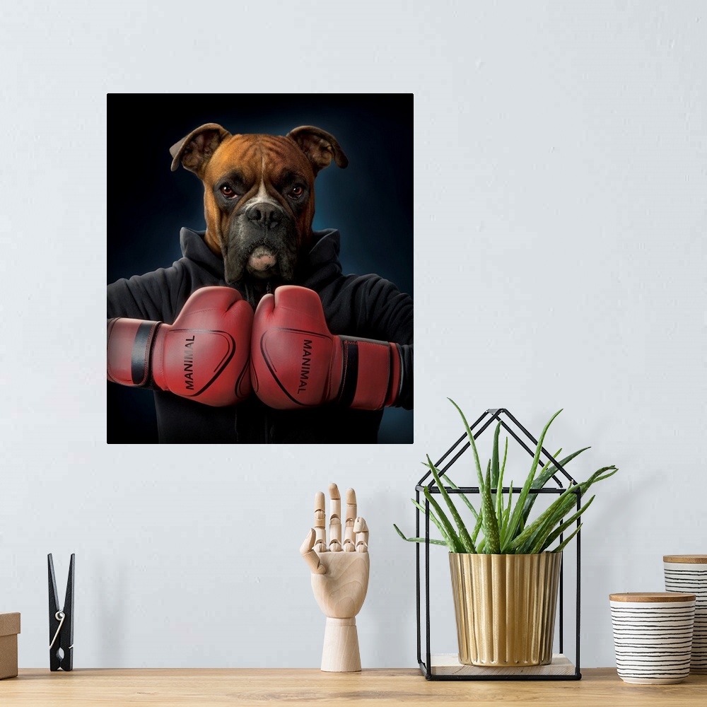 A bohemian room featuring Boxer
