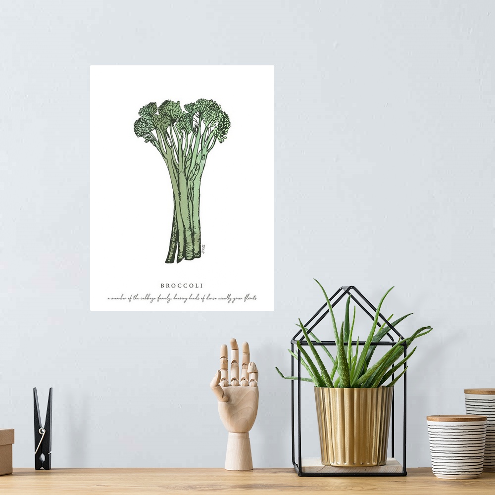 A bohemian room featuring Watercolor and Ink painting of broccoli with script fact.