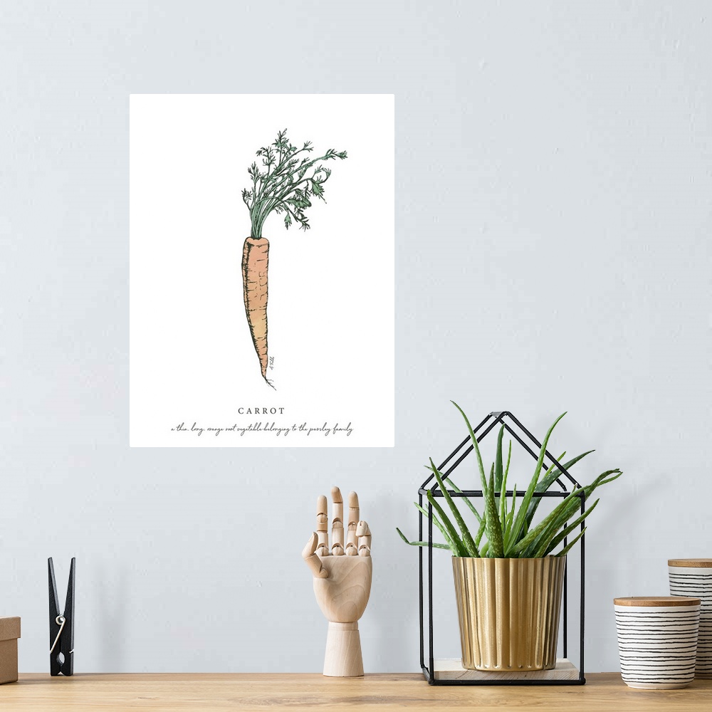 A bohemian room featuring Watercolor and Ink painting of a carrot with script fact.