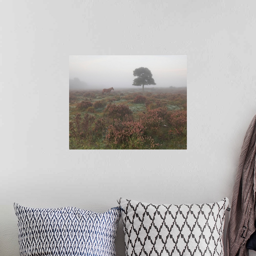 A bohemian room featuring Tree and horse in mist at dawn