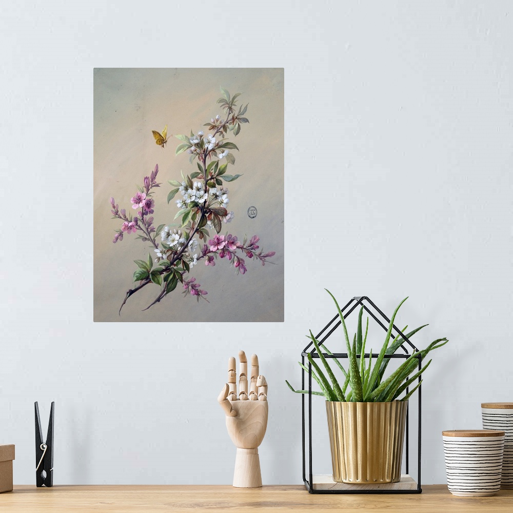 A bohemian room featuring Branch with clusters of white flowers and foliage while a yellow butterfly flies overhead.