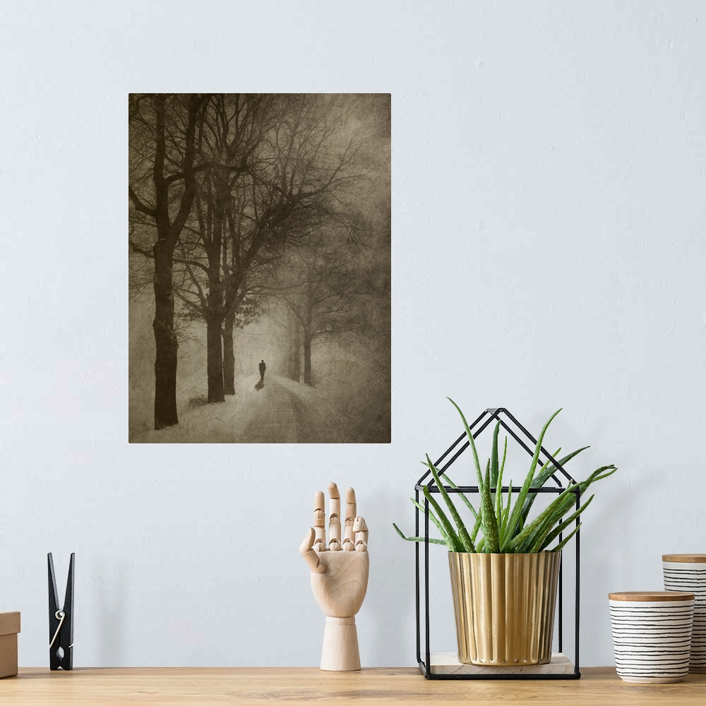 A bohemian room featuring Silhouette of a person standing in the middle of a mysterious tree-lined road in winter