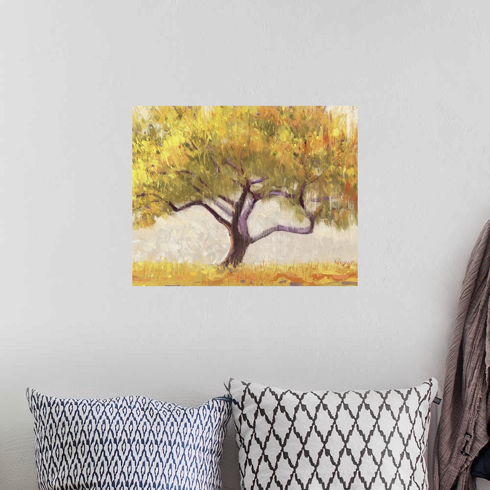 A bohemian room featuring Apricot Tree