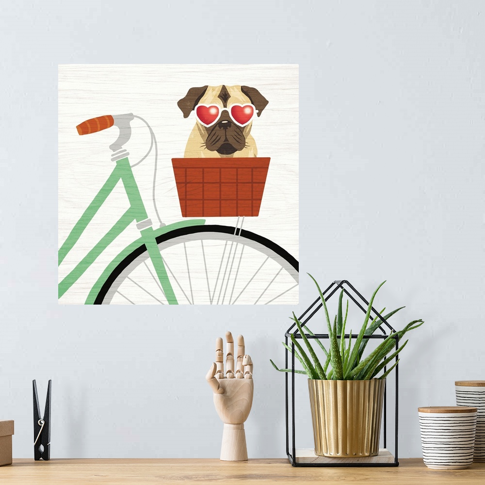 A bohemian room featuring Illustration of a pug in the basket of a bicycle wearing heart shaped sunglasses on a white wood ...