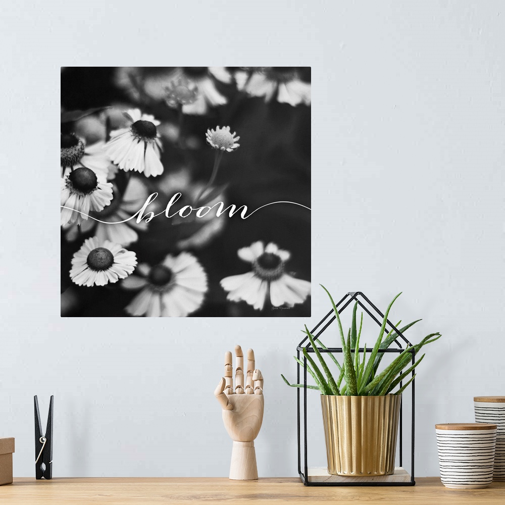 A bohemian room featuring Handlettering in white across a black and white photograph of flowers.