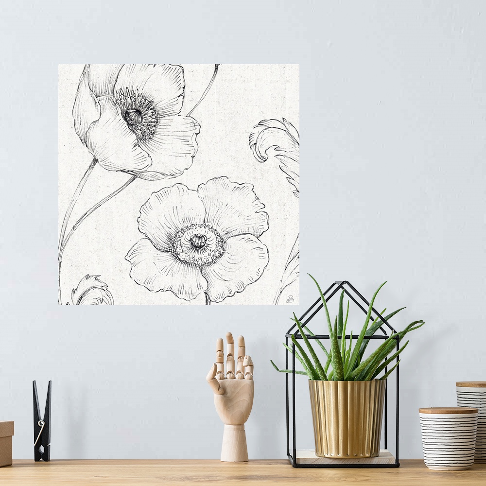 A bohemian room featuring Pencil outlines of two poppy flowers on a  textured white background.