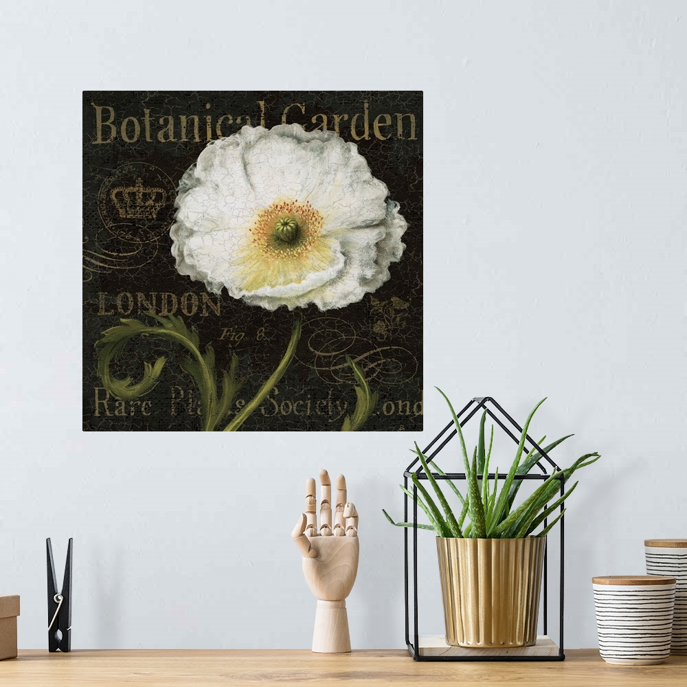 A bohemian room featuring Contemporary artwork of a white flower against a text background.