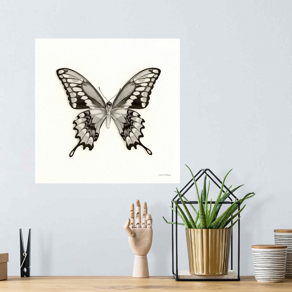 A bohemian room featuring Butterfly VI Black and White