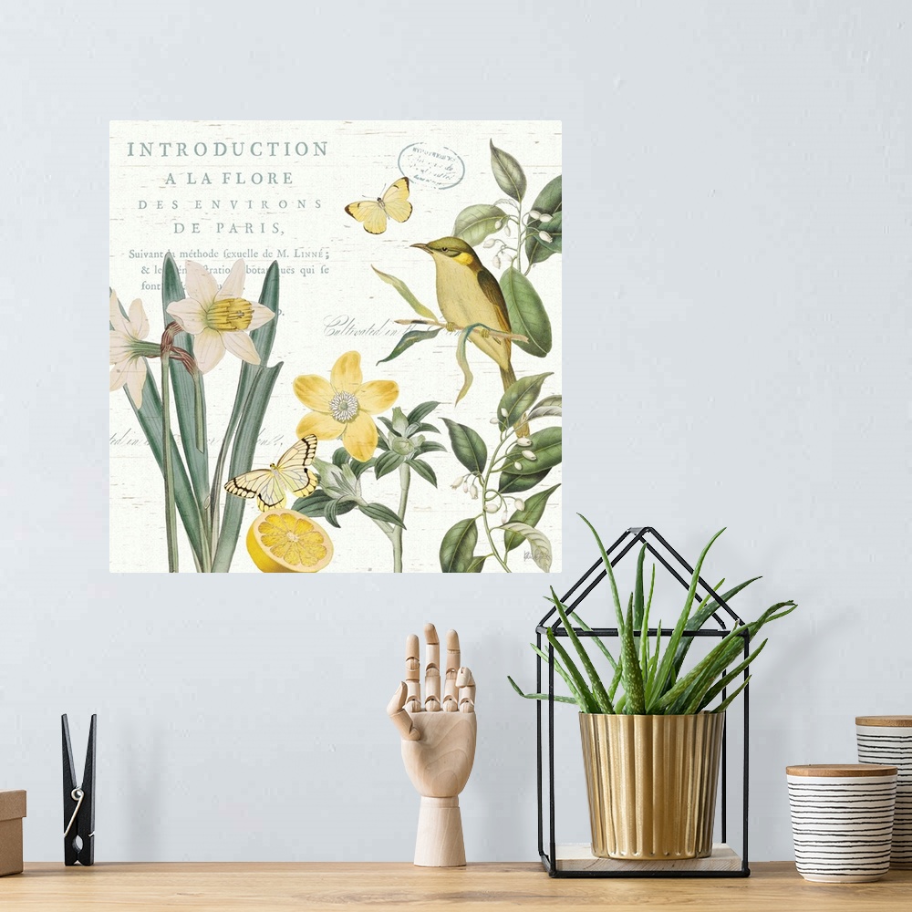 A bohemian room featuring Square decor in white, yellow, and green with illustrations of a bird, lemon, butterflies, and fl...