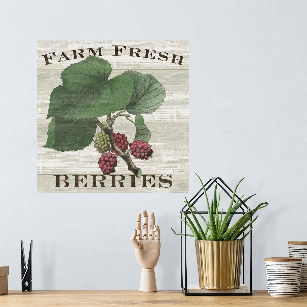 A bohemian room featuring Farm Fresh Berries