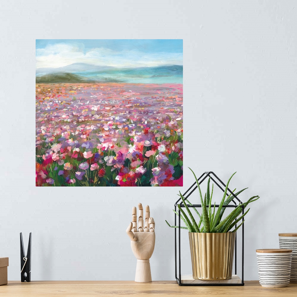 A bohemian room featuring Headland Wildflowers