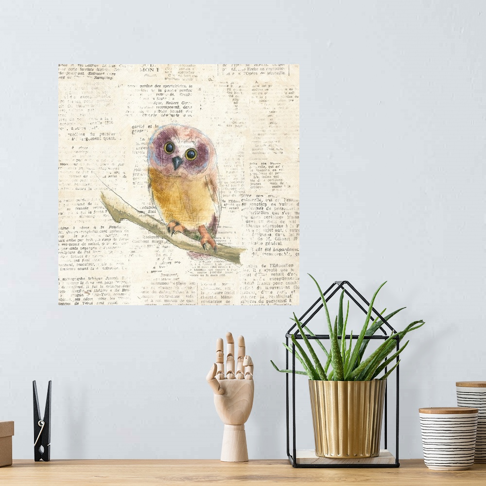A bohemian room featuring Artwork of a little owl against a distressed newsprint background.