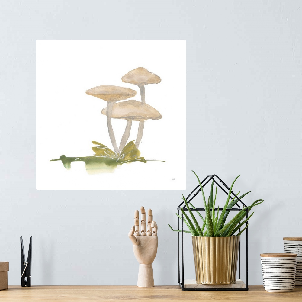 A bohemian room featuring Mellow Mushrooms I