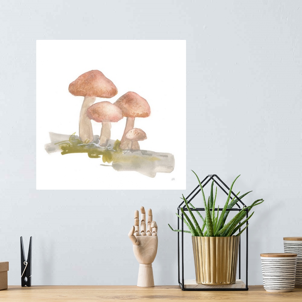A bohemian room featuring Mellow Mushrooms II