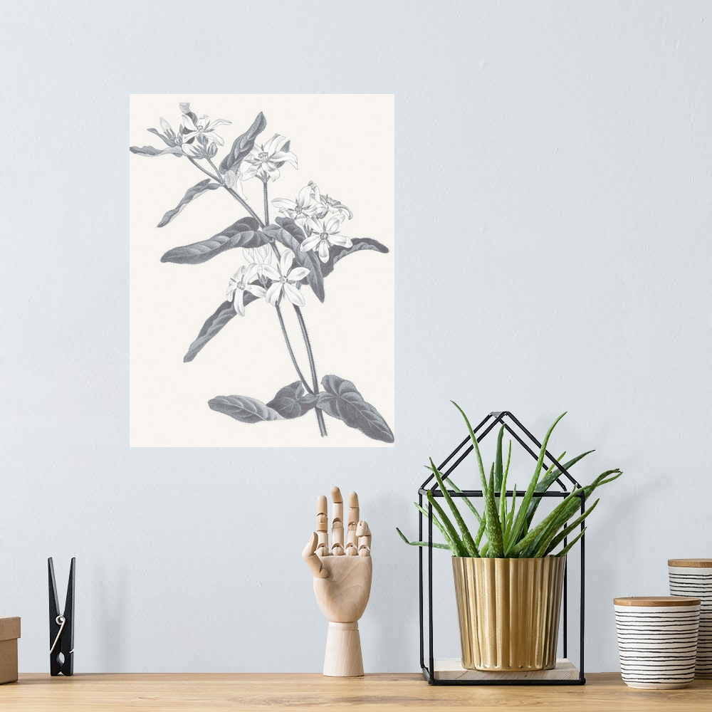 A bohemian room featuring Black and white painting of flowers on a neutral colored background.