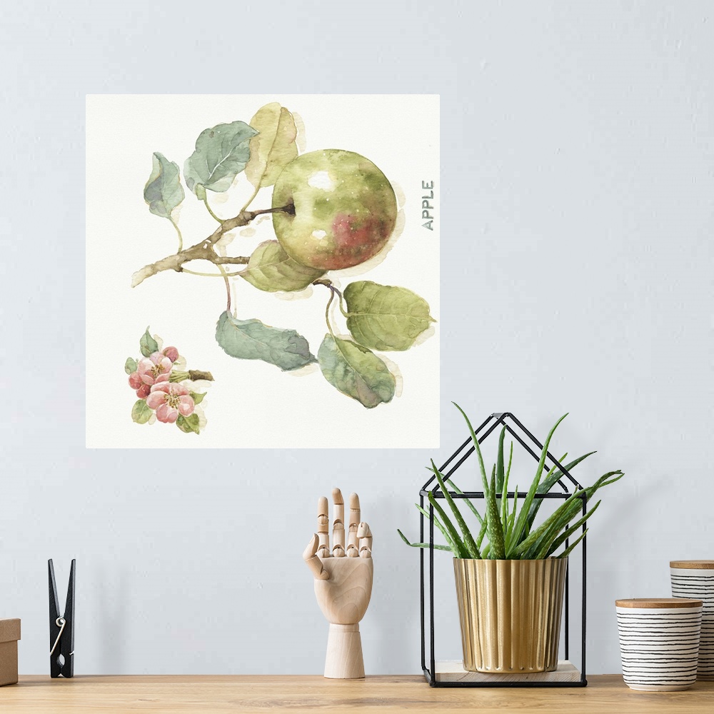 A bohemian room featuring Watercolor illustration of an apple hanging off a branch.