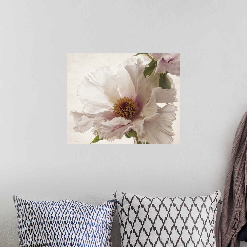 A bohemian room featuring Translucent photograph of a pink peony.