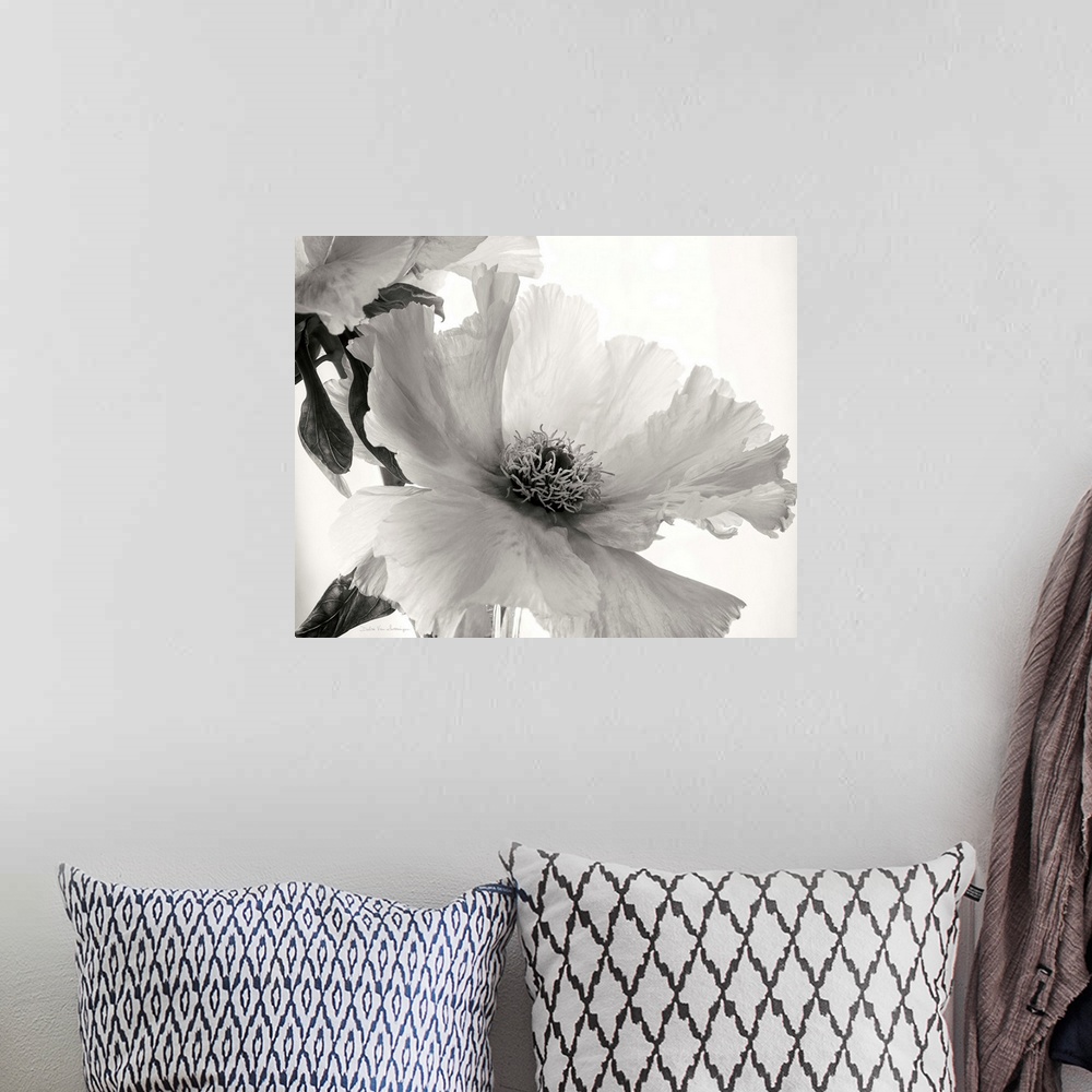 A bohemian room featuring Black and white photograph of a translucent peony.