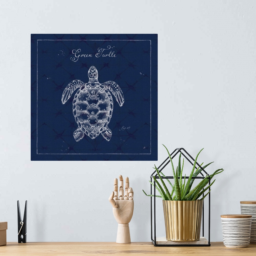 A bohemian room featuring Square illustration of green turtle in a pen and ink style with a blue weaved texture backdrop.