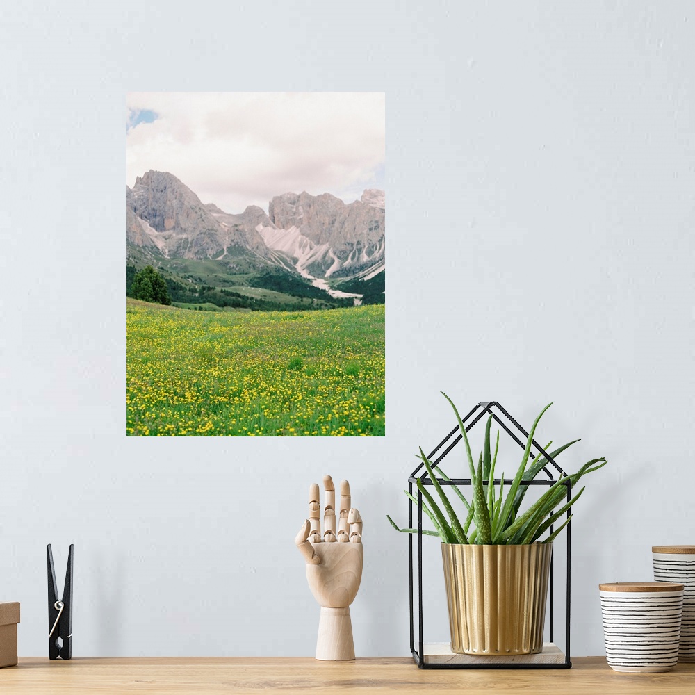 A bohemian room featuring Photograph of bright yellow wildflowers in front of the Italian Alps, Dolomites, Italy.