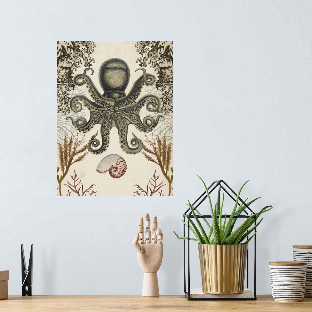 A bohemian room featuring Antiquarian Menagerie - Octopus