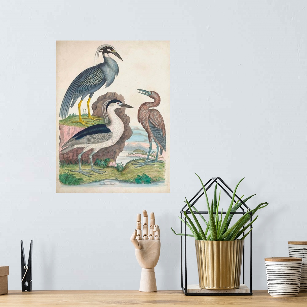 A bohemian room featuring Antique Heron & Waterbirds I