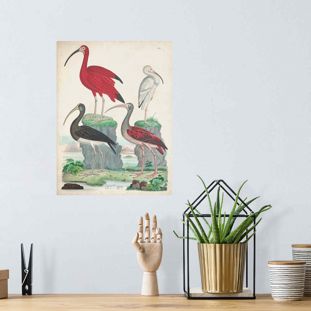 A bohemian room featuring Antique Heron & Waterbirds II