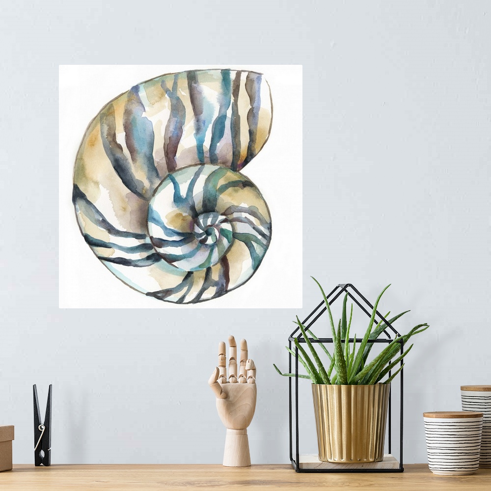 A bohemian room featuring Detailed watercolor painting of a striped spiral seashell.