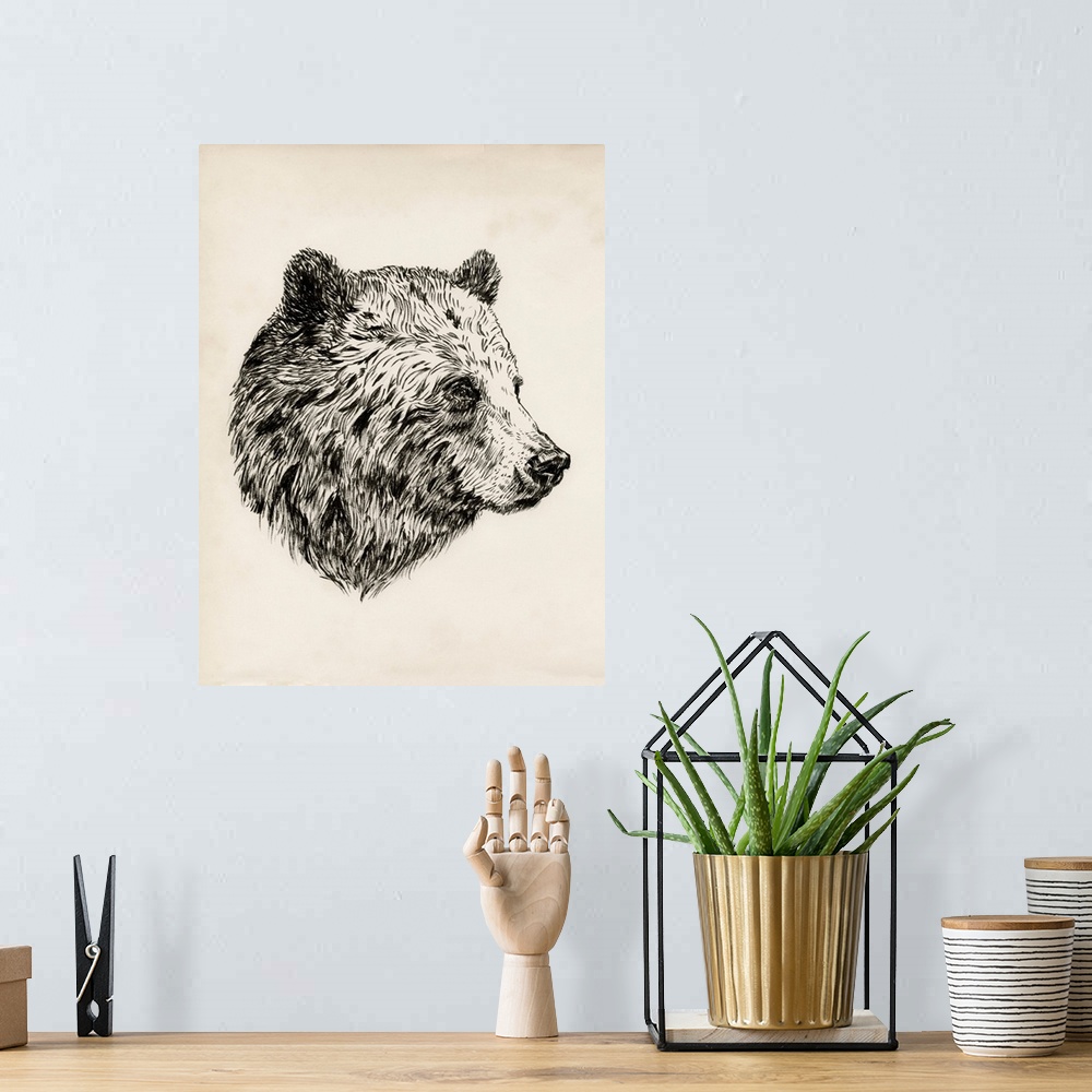 A bohemian room featuring Bear Ink Sketch I