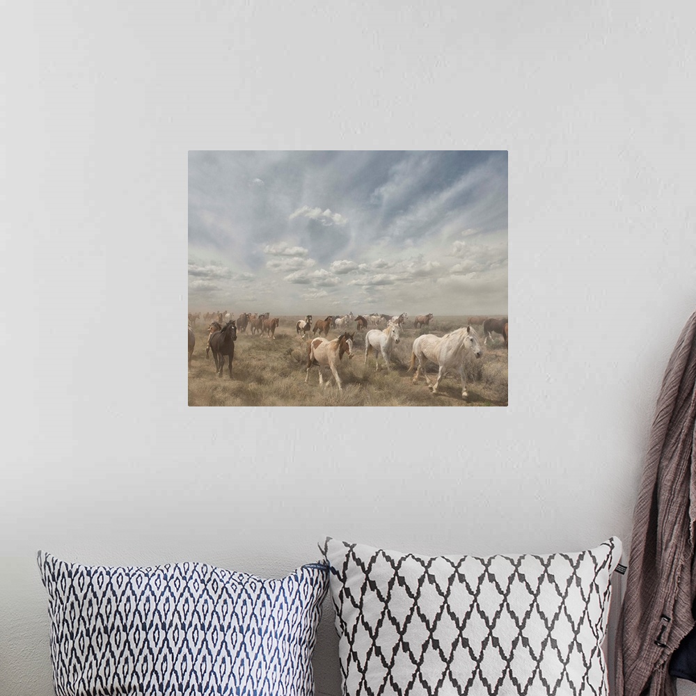 A bohemian room featuring Photograph of a herd of wild horses moving along a dry landscape.