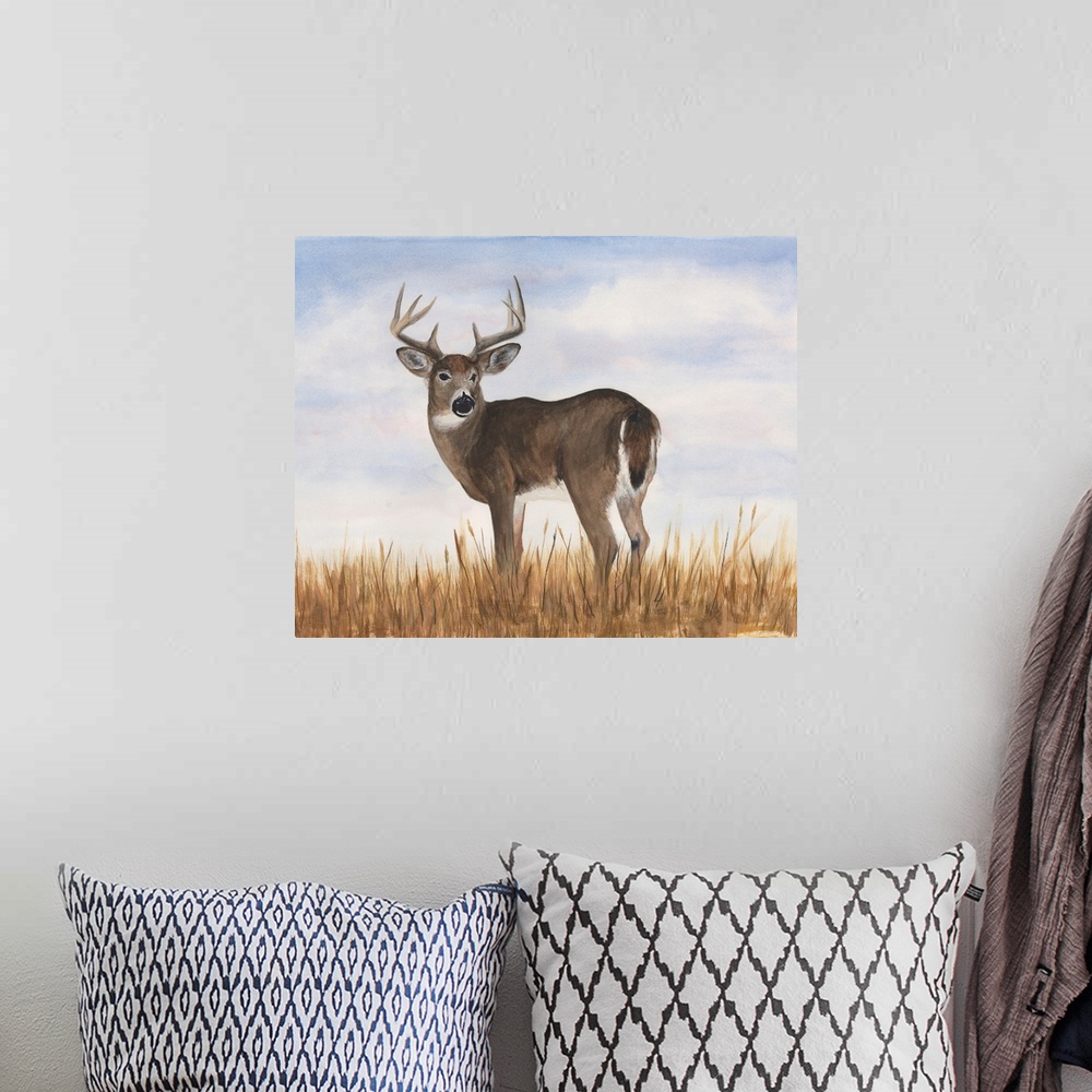 A bohemian room featuring Big Sky Whitetail I