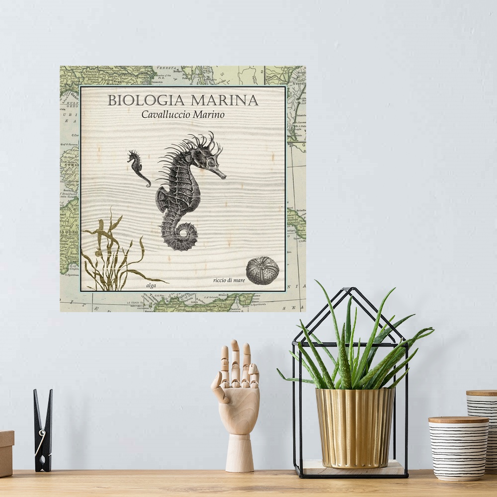 A bohemian room featuring Biologia Marina III