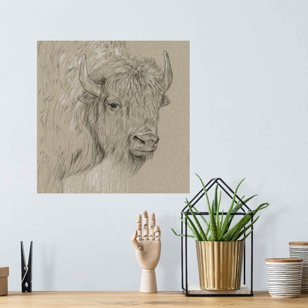 A bohemian room featuring Black and white sketch of a bison on a neutral background.