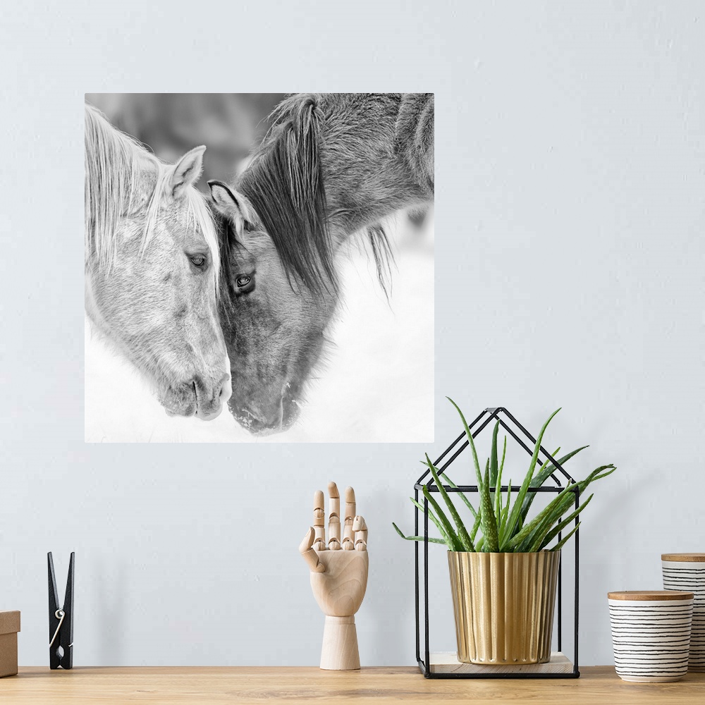 A bohemian room featuring Black and white photo of two horses nuzzling.