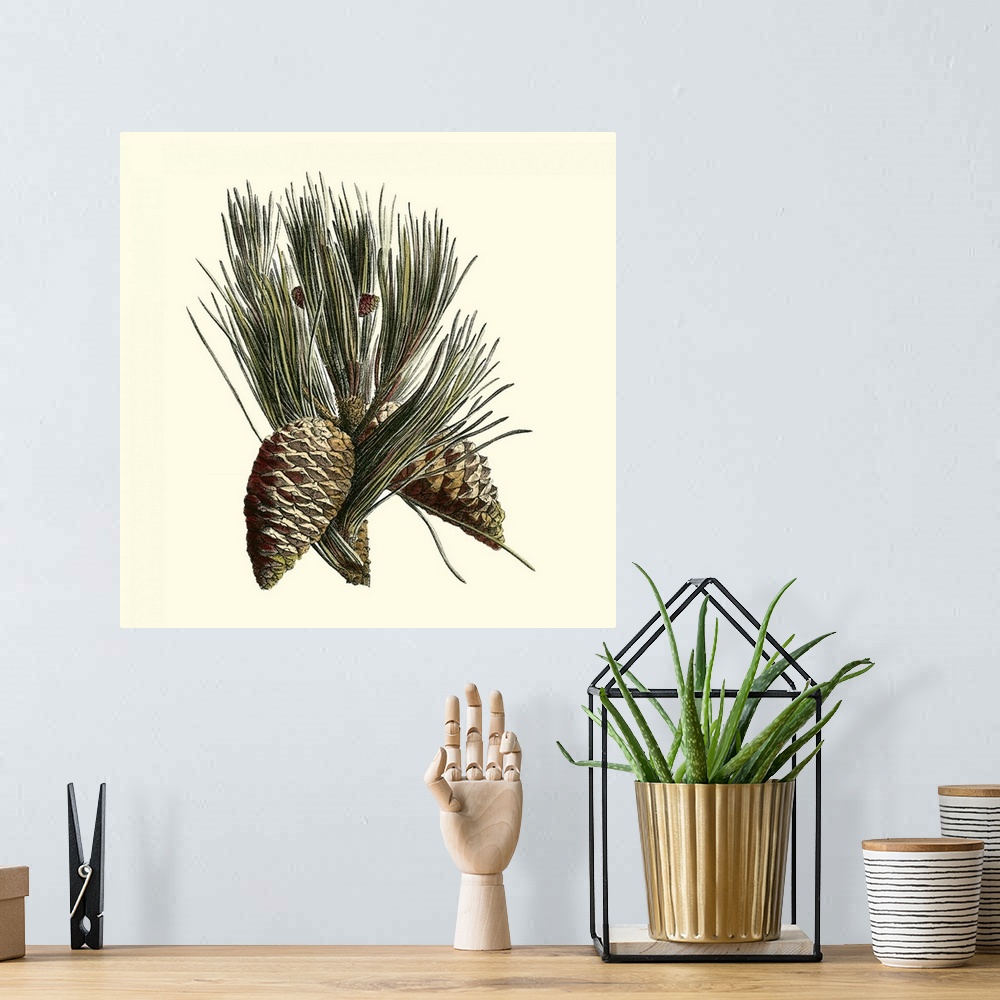 A bohemian room featuring Contemporary artwork of a pine cone on the end of a branch in a vintage illustrative style.