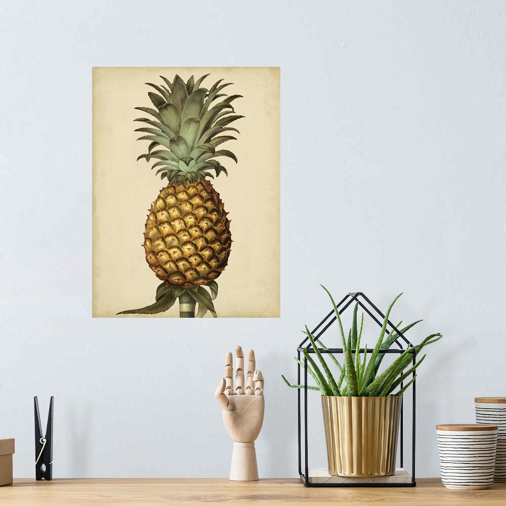 A bohemian room featuring Brookshaw Antique Pineapple I